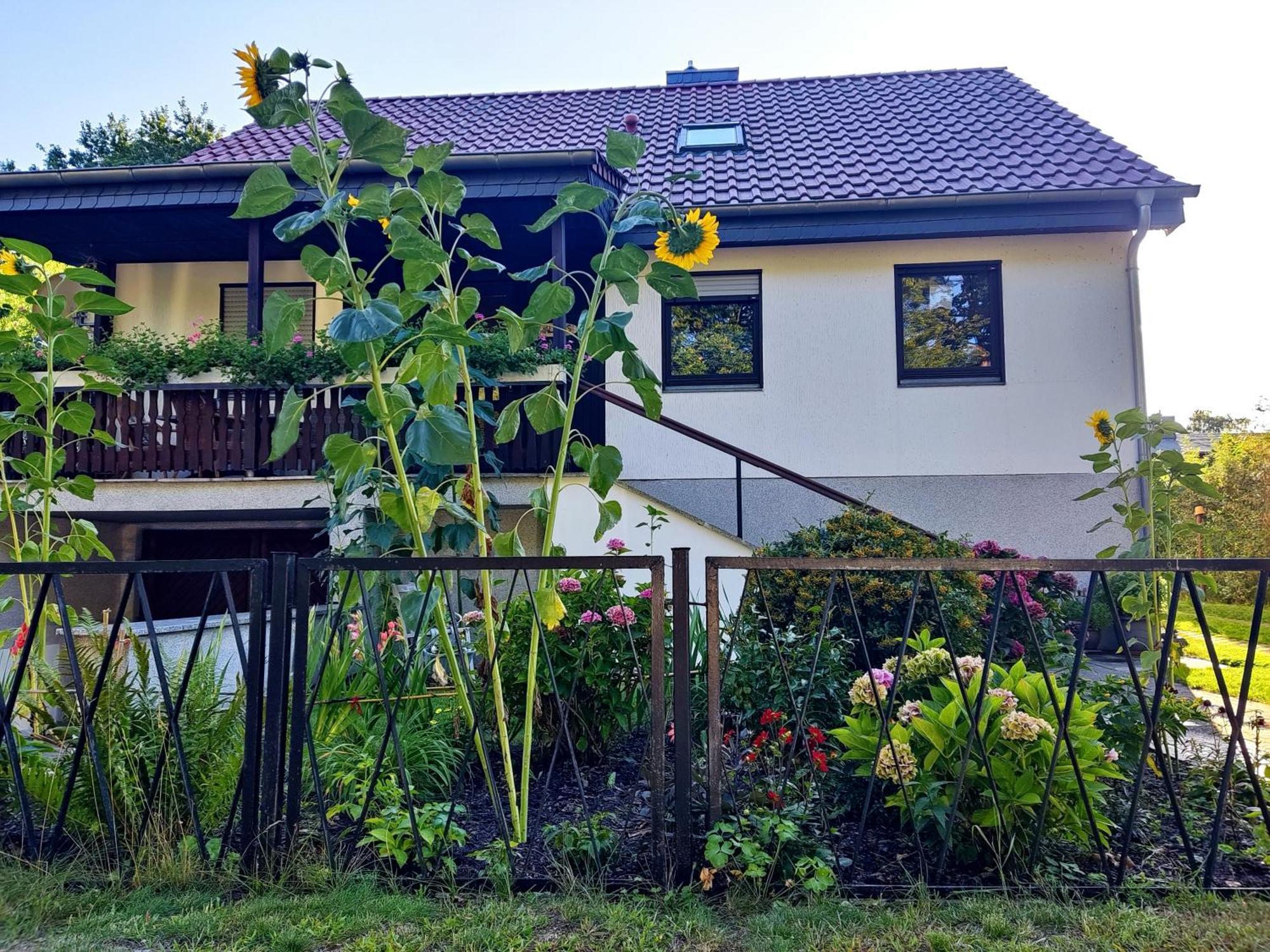 Waldhus Villa Юкериц Екстериор снимка
