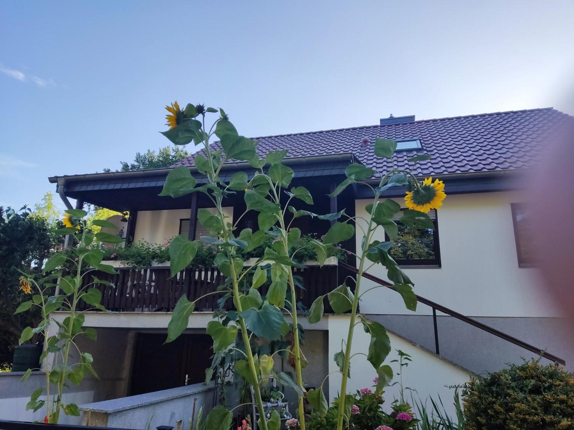 Waldhus Villa Юкериц Стая снимка